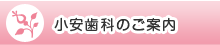 小安歯科のご案内